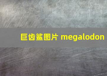 巨齿鲨图片 megalodon